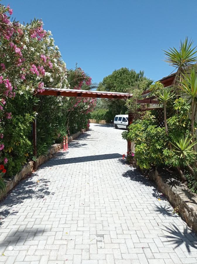 Alexandros Studios Kalamaki Extérieur photo
